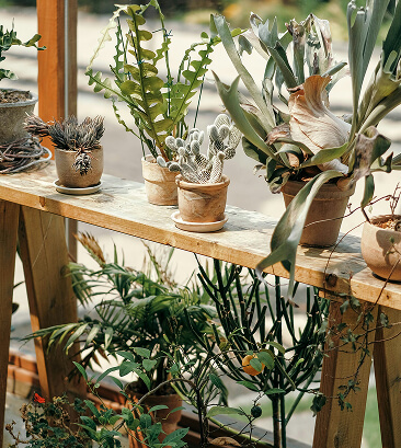 Vks Organics